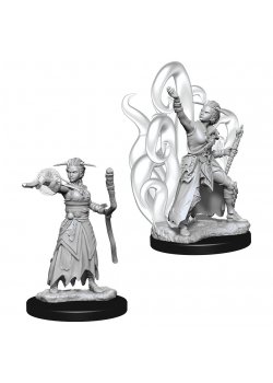 D&D Nolzur's Marvelous Unpainted Miniatures: Female Human Warlock